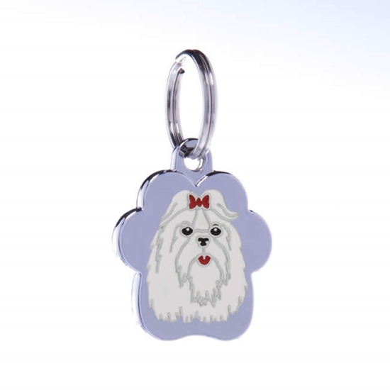 Picture of TAG RAINBOW MALTESE